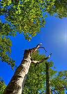 2020-04-12/c1c690b833867bdf5425ec5649714b38_f08b18701d9617ddd0505d6dc0e33b42