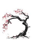 2020-04-14/4e91664f6362a0a3e377411aca96f4d2_148bc9774fd723b4ada9e3d4d7bc9252