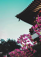 2020-04-15/d8db71ffeb597301c214c26e1218c3d1_dab9818551dac9c35507b847b6e6c899