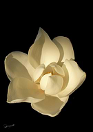 2020-04-15/f889ada4494be9fa5ce0e422be334dbf_b77ddc540feca80f87230c9fb72e8e26