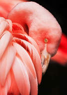 2020-04-16/1c17a4fb8b906e1f0b5951ad61e36e1a_f082fb6d76cf89cae80248f428f2b971