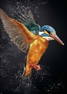 2020-04-16/551508f6aa8b1b789d57854c497d6168_3ac7509db3ee46669ac848da98642363