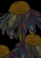 2020-04-16/664718e2968de20bf8e9b73d1e745541_00f4e23c9e3d753cd82ef11cfc021979