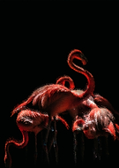 2020-04-16/8d2b6ff69c10e235d2a762760001b486_53c6713cee5a6337ef00687675438be7