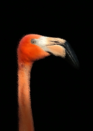 2020-04-16/cc691381264620d482c41f2bc581ccbe_b8c65ff17b4cecfe6a61a626d3c619c0