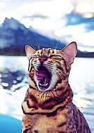 2020-04-17/bb9f66b27aafd0a1137159ae7ead3978_32264d2191190520490d15496d45d7d2