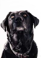 2020-04-20/9ebea106e26937190129dd5e8e6e7ece_8d3d75110a1ead11906d2af55a568662