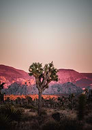 2020-04-21/25a03feec99e5334daf43dbbaff471e9_9a157114e150f8c456ece2e7ef3081ef