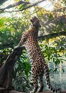 2020-04-21/be3459dac18f1527837c119baca48500_d51b3eb404a94dc781cbf9c16b2bd1a9