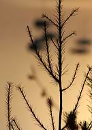 2020-04-22/87e2d1bb00a9052cfd395dd7ac6492fe_14867e264aad78a893558e8254275ff3