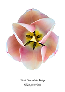 2020-04-23/2bccd74b6fea5afbc253f6f4fc0a9d3d_a99bb1da80bb0f623330b95dbb050640