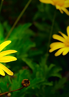 2020-04-25/5a4ebbb2f6f202ec47fff5e8bbeb25e6_c735c3fc8b9646ba6aca9afc2ac9edab