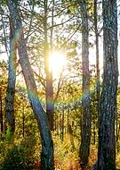 2020-04-25/6568de98f315ff07739450a82b81be8d_b738006bd7e94bb5cabddd556e809022