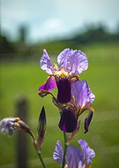 2020-04-25/70e8cc3419ff5744185004f7d6b4e527_cd8567132d34299a11dd71aaca22eee1