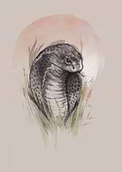 2020-04-26/0a1757e08f4a755cbc802c2c46ec0927_e243ed247fc8d22dfa7695f376404969