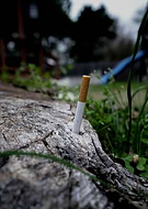 2020-04-26/d1f9bbe1a941c9fd3169ae485f8341f6_3c9b06de67299e9229a37642631044fc