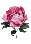 2020-04-28/e1799442d5064824979080b1a1db9fd7_a410b7e894bed147f8987ea6eec7c0bb