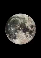 collection-preview-0