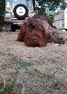 2020-04-30/bd5616be0aded1b6b819ddcf436983f3_94f366102aed6e2ef49624a347e0bc37