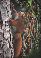 2020-05-01/cac866391f5318be2c3decbe6baf94c0_7e407d87561d83a871100b6f20501afd