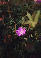 2020-05-02/dfc4109d88fc628a0793b688ddf3a570_d85b328efb065fcf1fe7d65021148d32