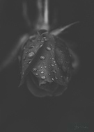 2020-05-04/6e594f7a068dd35ad40f7864d073feaa_5e28fe5d1e79659a1d3150eaf6c1e9d4