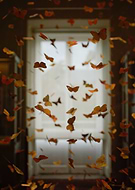 2020-05-04/7bf60bf30818cc935e1aeec6e70e96a7_9a8c192c05a857c922438821015d5bd4