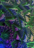 2020-05-05/c384fe149961877e3853c86a7f66df44_04fe6279e21efd4f8fb7a0cb0a5dd6c7