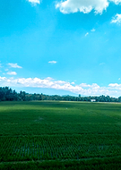 2020-05-07/fb8db64559a42aff0658453afc7ceb93_43f5aaf265b14608a04e3880a1aa20dd