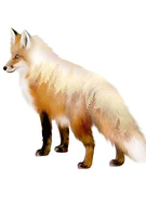 2020-05-11/15aa24a66e07cdd3e42187a6c46ccbc8_e86c30b96ee17568f4a23679a80dec0c