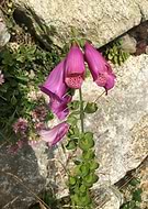 2020-05-11/621708d8f2f2a520c2b64a8871cc023e_ba2707a9b4c7c74d8fa202c6ed58773b