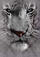 2020-05-11/6e30d9ed91b894587eb3fa9d2ae44e71_7c993c5ed4ce4b48e6509c74e3e9a45d