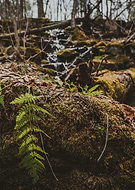 2020-05-12/e1bd53ac7124819331df28fcb7f7fbc6_d96c466ab9450dc1e6352d987e45c09c