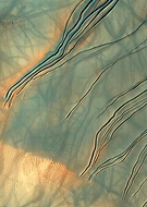 2020-05-13/0072e76379994ae9273304ad90be316c_0d2f7da2957381e7c6582b0a190a658b