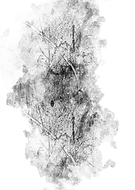 2020-05-13/c353ae361070606653d772fb5468ccdf_c58ab52538227ff55988748cf03581c5