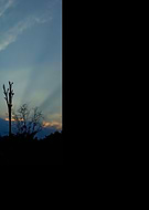 2020-05-15/b729cfa412560fd807ac74741d254a39_4f1288aba56c828dc7607ddb8ceedab6