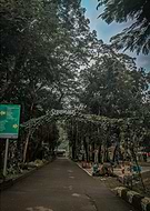 2020-05-16/4aa15e4b786c939a34cac6cb9c9e6d14_55871096d1dc0368fc39924285c44bd2