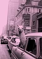 2020-05-18/29d93e8721dd620649dec310365256ab_ece4564de442423506f3d8735bf74750