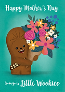 collection-preview-1