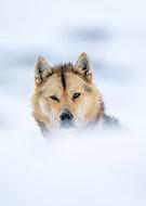 2020-05-18/6fb83524257f8ef81212df5c96e41bfa_155dbd52446e727f9b5279bf48436d8f