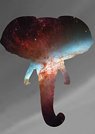 2020-05-18/ea8645534b5e76a15eb57453f1ef3711_41f662f7460cb913c056ea789099b99c