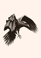 2020-05-19/5f1d0ccae0b78dc75541161f355bd184_cd17a9e3c0a1eda2f66e2b9f434a30bf