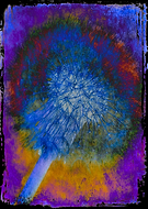 2020-05-21/27b6431640d209847de423b9faa09183_6440fd34f07256c7ecb48715b9d32d31