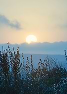 2020-05-22/b9c146f31f8dba35c79c17a0f021ed78_90318b1c805dc8779b3b85003c311d2b