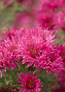 2020-05-25/b54180e025739ccc5334408f33fbb9db_145cf9625ab1715575894d56fd5ea260