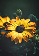 2020-05-25/dc648ee3bbf256d7e17be0e9a707bb92_fc62a58cccc0d171855cf9c69bdbc425