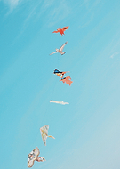 2020-05-26/3772c9cca5f06267d9541791d45f8666_7f971df858757858b431f9f42fa3ef7c