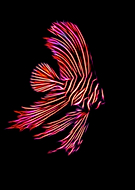 2020-05-26/6643ef2a854a173635b18e3513b345eb_d56a73a5f23c8c798f83639e2fd6fce1