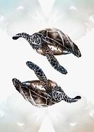 2020-05-28/493c00d2ae78532f9ccf627196c9e812_e39724fee1865528392ab50e77162c18