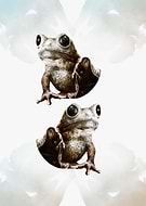 2020-05-28/5bd91eb66c407fcb7cb2a7f5e0140420_a289ea99c441fdad0d031677a5185d01